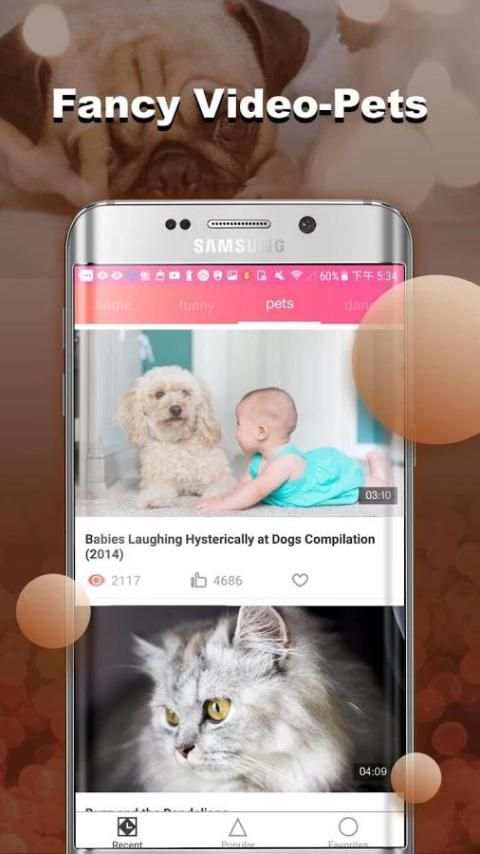 funny video screenshot 2