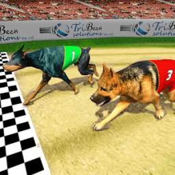 Real Dog Racing Tournament