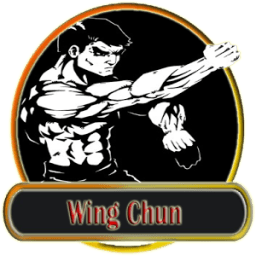 Wing Chun Technique icon