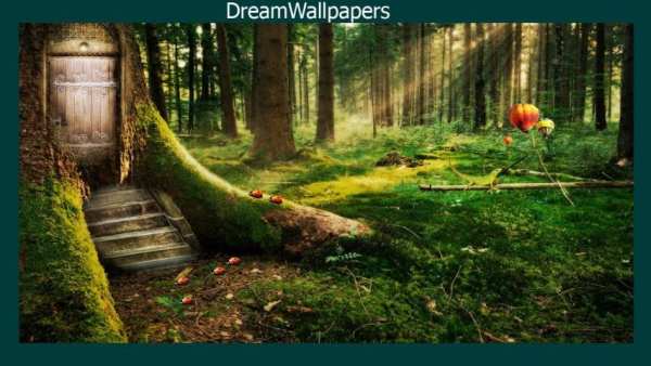 Enchanted Forest Wallpaper स्क्रीनशॉट 1