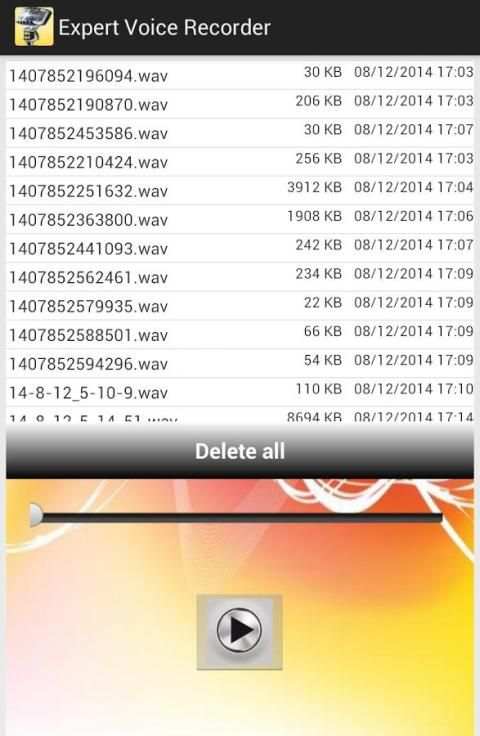Expert Voice Recorder screenshot 7