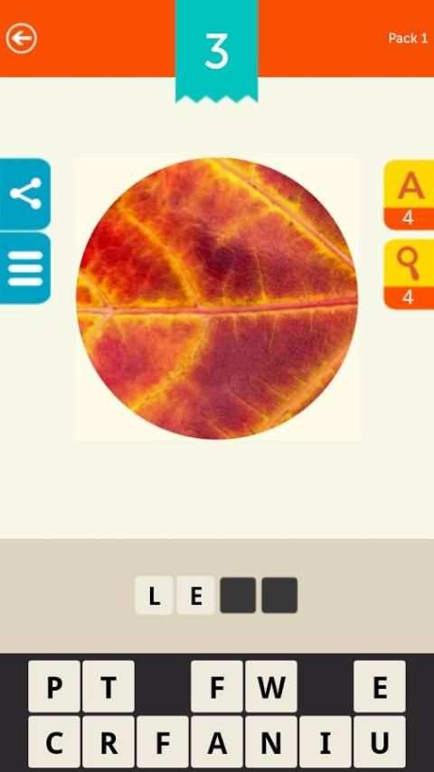 Guess the Pic! Close up Photos screenshot 12