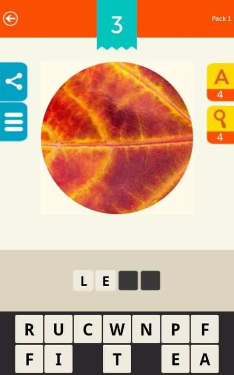 Guess the Pic! Close up Photos screenshot 7