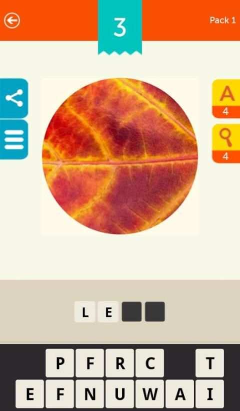 Guess the Pic! Close up Photos screenshot 2