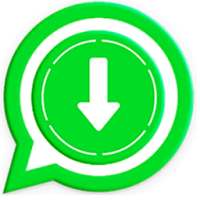 InstaApp - Story Downloader