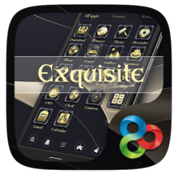 ikon Exquisitee Go Launcher Theme