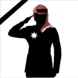 The Warriors Way иконка