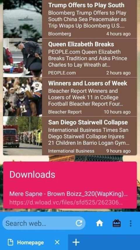 Mini Browser स्क्रीनशॉट 2