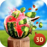 Watermelon Shooter - Shooting Range Master