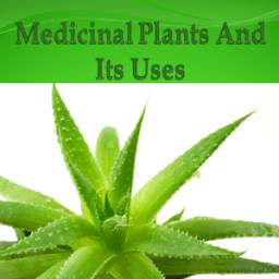 Medicinal Plants and Its Uses