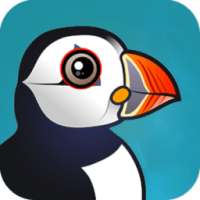 New Puffin Web Browser 2018 Advice