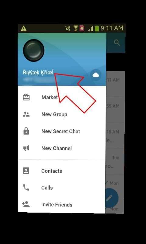 Telegram Messenger Pro (free call & Text SmS) screenshot 6