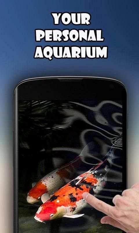 Koi Live Wallpaper screenshot 4