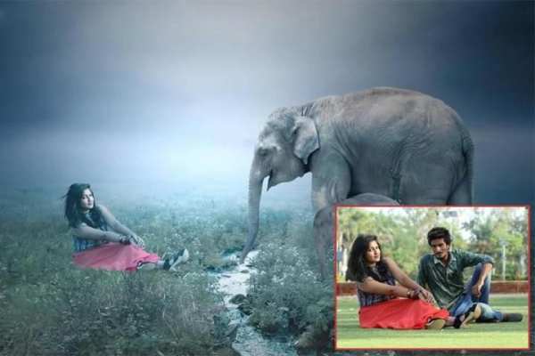 Wild Animal Photo Editor - Animal Photo Frames screenshot 3