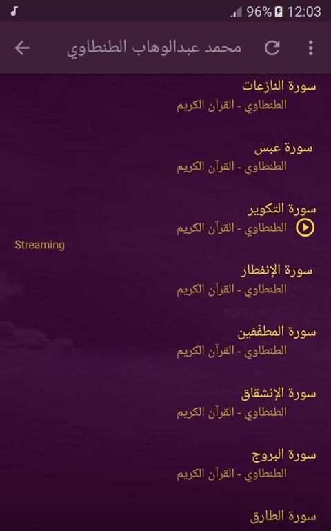 الشيخ محمد عبدالوهاب الطنطاوي - قران الكريم screenshot 4