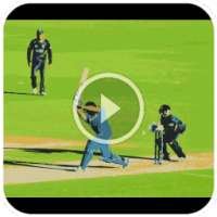 Live Cricket Score - Fast Live Line & Buzz