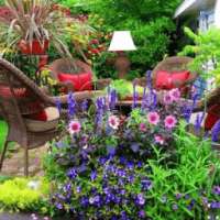 Home Garden Design