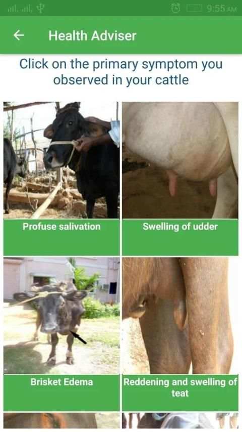 Cattle Expert System 2 تصوير الشاشة