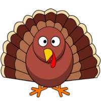 Turkey Torrent Video Player
