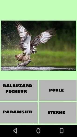 Birds and their Names Game-Quiz screenshot 4