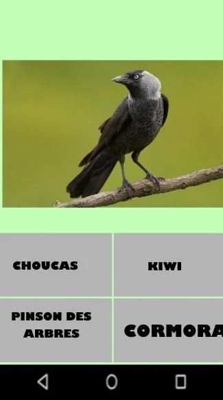 Birds and their Names Game-Quiz screenshot 2