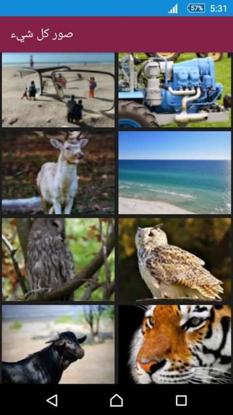 صور كل شيء screenshot 1