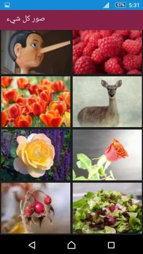صور كل شيء screenshot 4