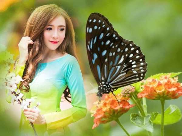Butterfly Photo Frame 2016 स्क्रीनशॉट 5
