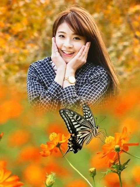 Butterfly Photo Frame 2016 स्क्रीनशॉट 4