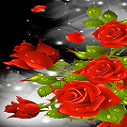 Red Rose Party Live Wallpaper icon