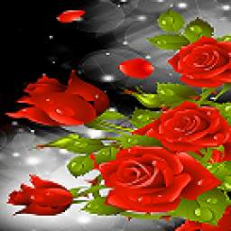 Red Rose Live Wallpaper 3.0