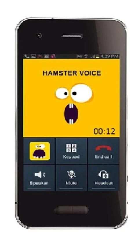 Change voice during call screenshot 3