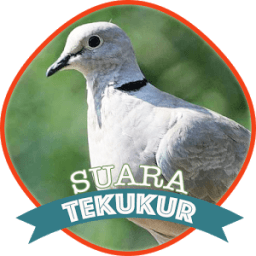 Suara Burung Tekukur icon
