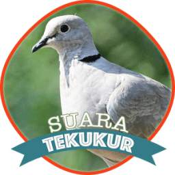 Suara Burung Tekukur 1.8