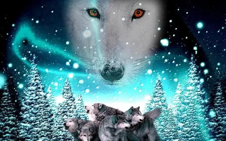 3D Wolf APK Download 2022 - Free - 9Apps