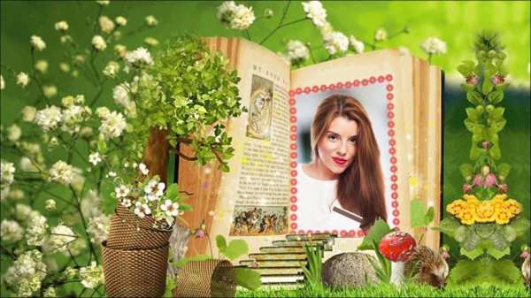 Books Photo Album Maker 1 تصوير الشاشة