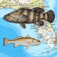 Florida Reef Fishing Scuba Map