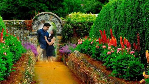 Garden Photo Frames screenshot 1