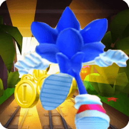 Amazing Subway Sonic Adventure иконка