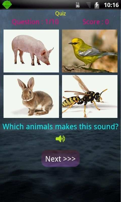 WORLD OF ANIMALS screenshot 2
