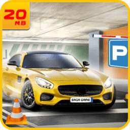 Multi-Story Roadway Classic Car Parking Game