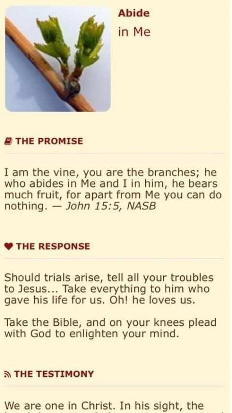 Prayer and Promises screenshot 6