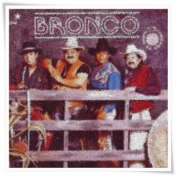 Bronco 1.0