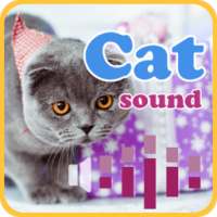 Cat Sounds