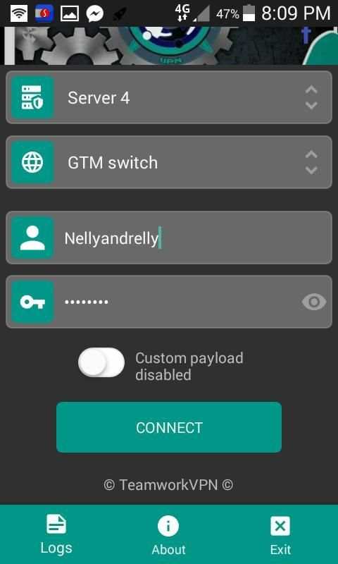 Teamwork-vpn 3 تصوير الشاشة