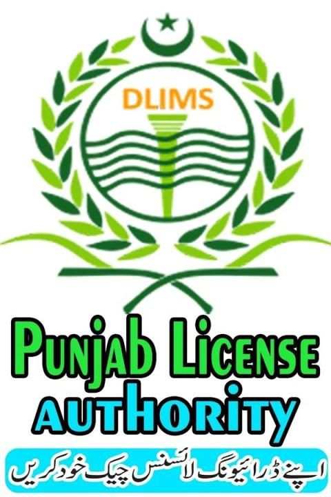 Punjab Driving License Verification स्क्रीनशॉट 1