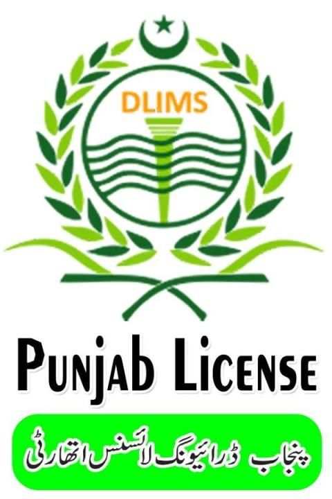Punjab Driving License Verification स्क्रीनशॉट 2