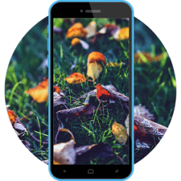 HD Theme for Coolpad Note 3 icon