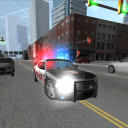 Duty Driver Police FREE أيقونة
