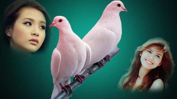 Birds Photo Frames screenshot 3